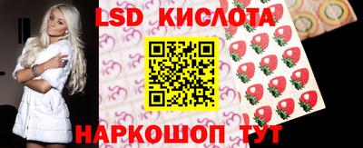 шишки Кандалакша