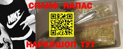 шишки Кандалакша