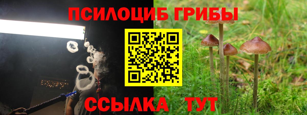 сколько стоит  Вход с VPN  Краснокаменск  Галлюциногенные грибы Cubensis 